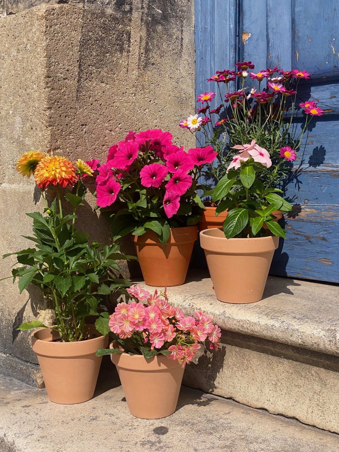 Fleurs en pot devant une porte du quartier Saint-Michel à Bordeaux